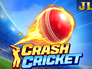 Crash Cricket game icon